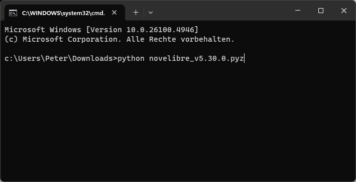 Beispiel (Windows Eingabeaufforderung)
