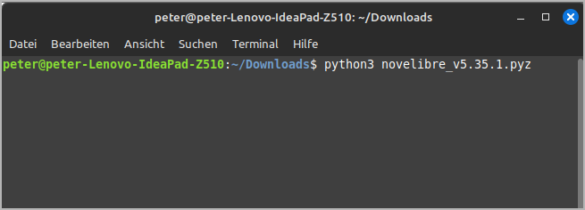 Example (Linux Mint console)