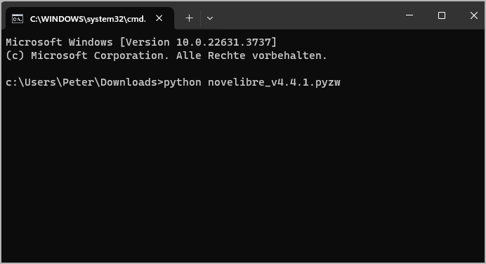 Example (Windows command line)